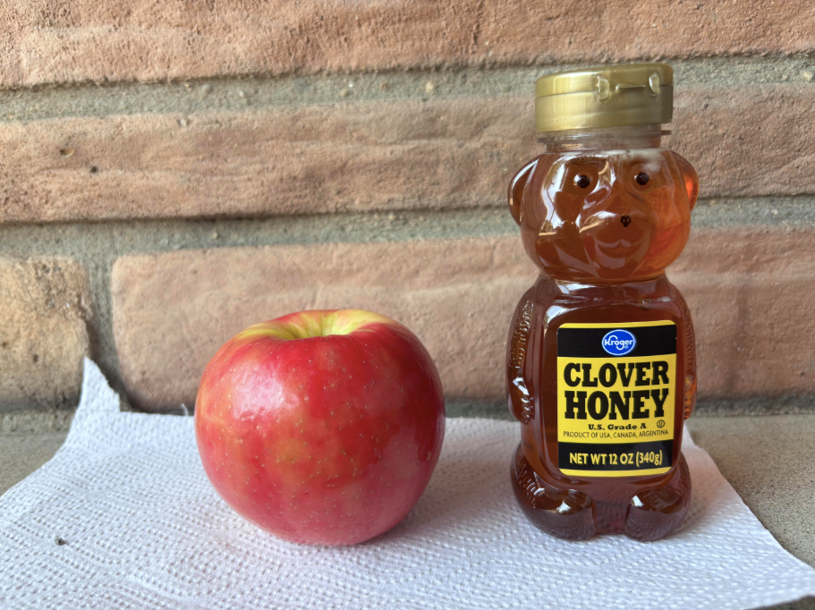 An apple and honey in front of a brick wall. Photo by Stella Fried