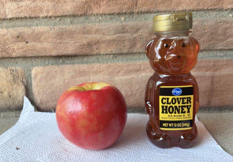 An apple and honey in front of a brick wall. Photo by Stella Fried
